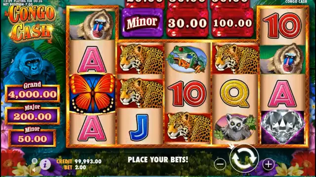 Congo Cash — aperçu